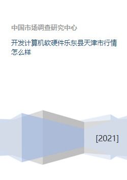 天津與樂東縣計算機軟硬件研發行業行情分析